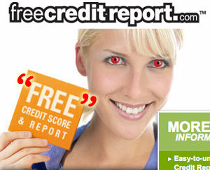 free credit report online reviews